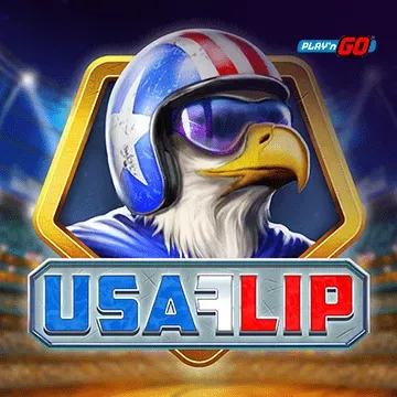 USA Flip - ADUGAMING